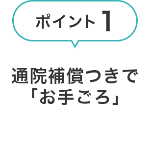 通院補償つきで「お手ごろ」