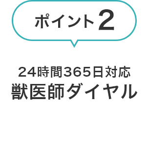 24時間365日 対応獣医師ダイヤル