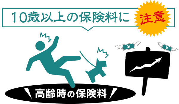 24時間365日対応獣医師ダイヤル