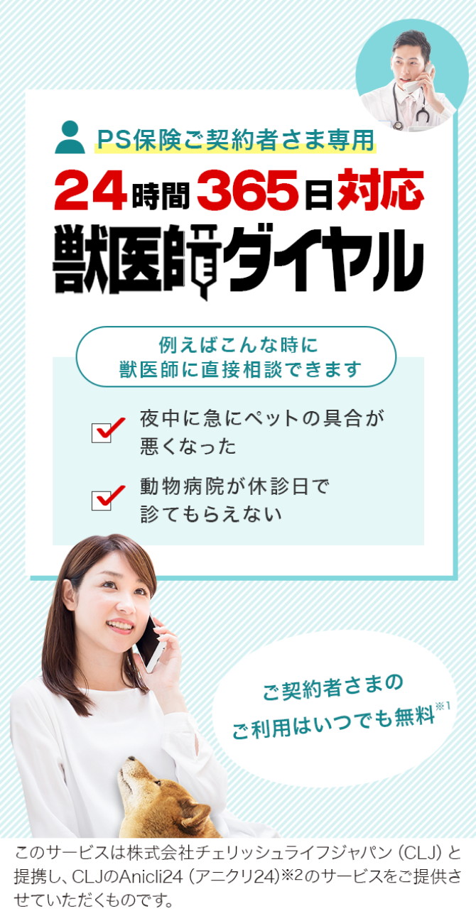 24時間365日対応獣医師ダイヤル