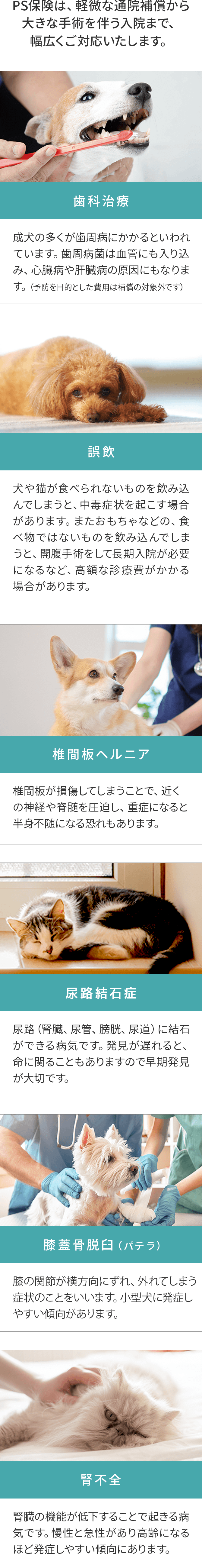 PS保険は、軽微な通院補償から大きな手術を伴う入院まで、幅広くご対応いたします。