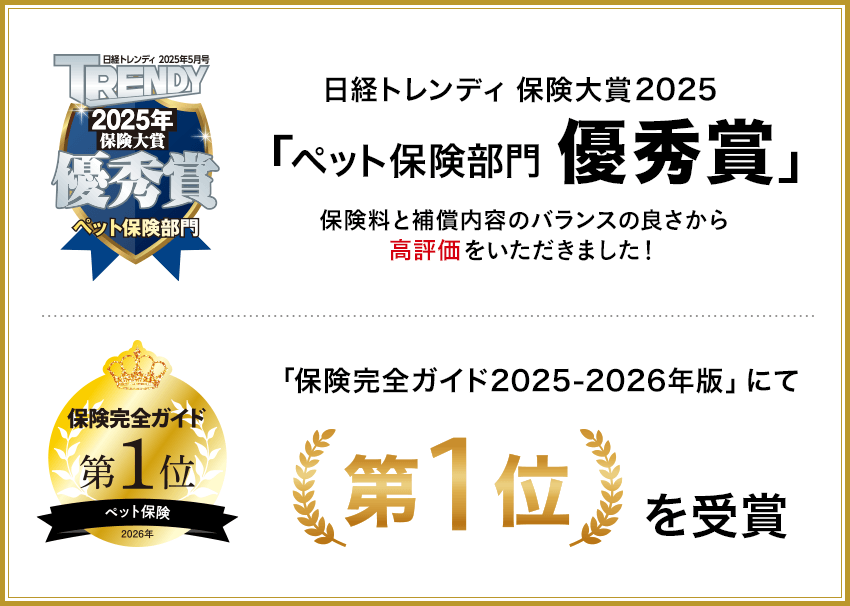 ランキング入賞・受賞多数!